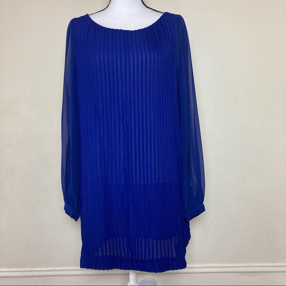 Julie dillon New York chiffon pleated long sleeve shift dreess.